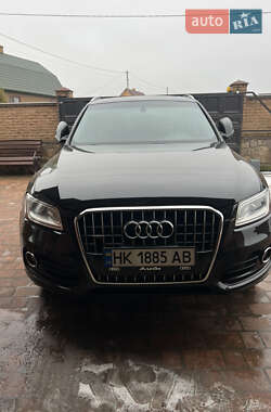 Audi Q5  2013