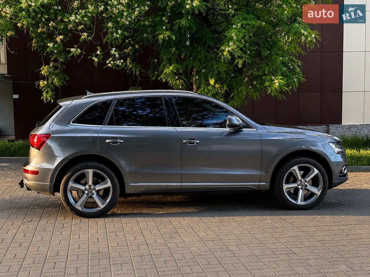 2014 Audi Q5 - мініатюра 4