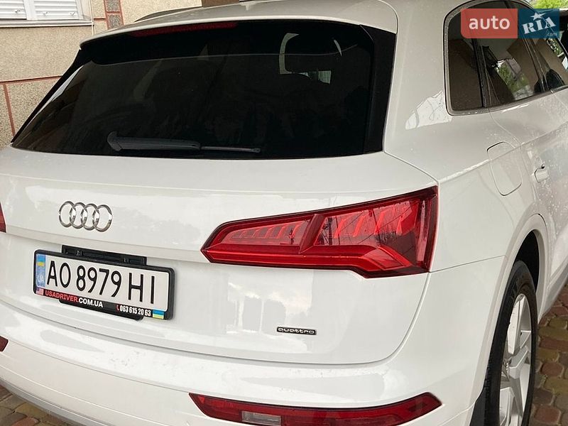 Позашляховик / Кросовер Audi Q5 2019 в Ужгороді