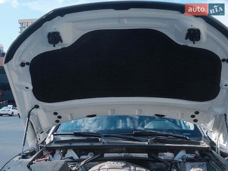 Внедорожник / Кроссовер Audi Q5 2020 в Киеве фото 11 Внедорожник / Кроссовер Audi Q5 2020 в Киеве