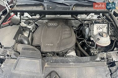 Внедорожник / Кроссовер Audi Q5 2019 в Киеве