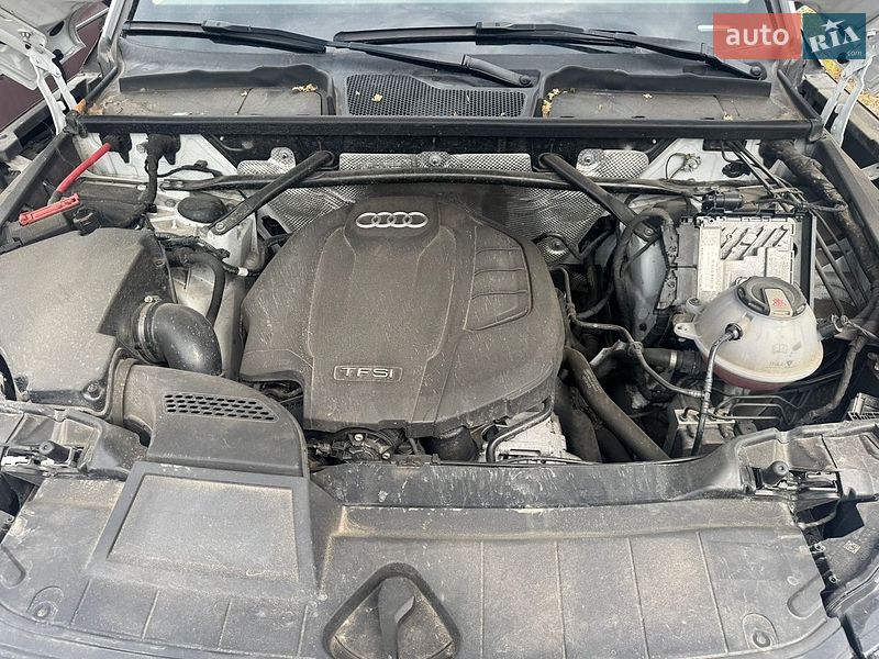Внедорожник / Кроссовер Audi Q5 2019 в Киеве