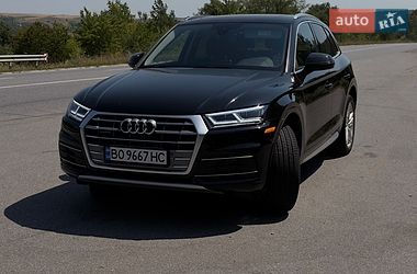 Внедорожник / Кроссовер Audi Q5 2019 в Бучаче