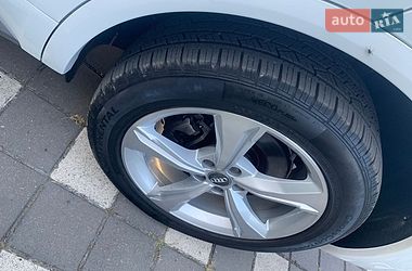 Внедорожник / Кроссовер Audi Q5 2020 в Стрые