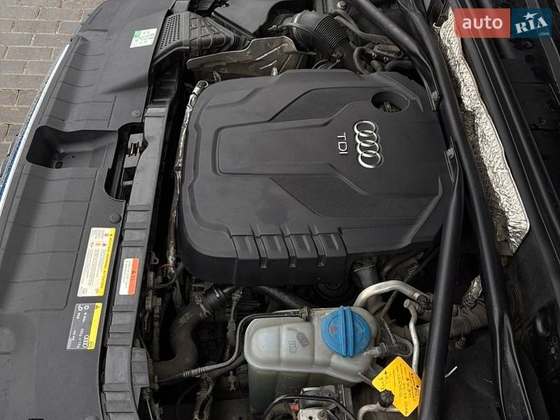 Внедорожник / Кроссовер Audi Q5 2015 в Киеве
