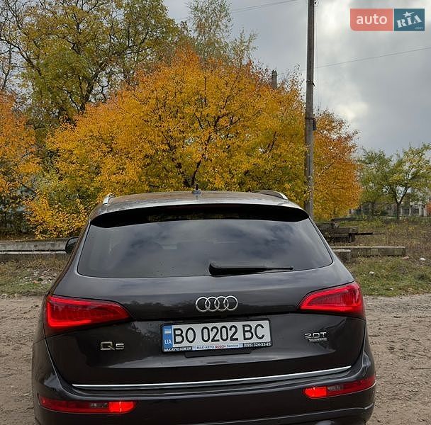 Внедорожник / Кроссовер Audi Q5 2016 в Теребовле