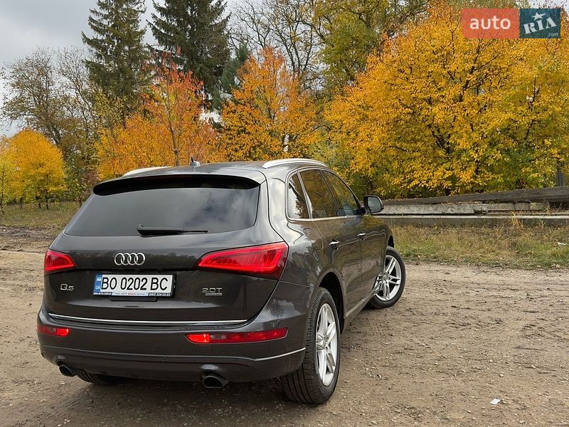 Внедорожник / Кроссовер Audi Q5 2016 в Теребовле