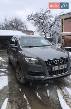 Audi Q7  2013