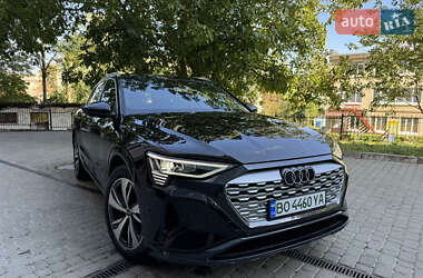Audi Q8 e-tron  2023