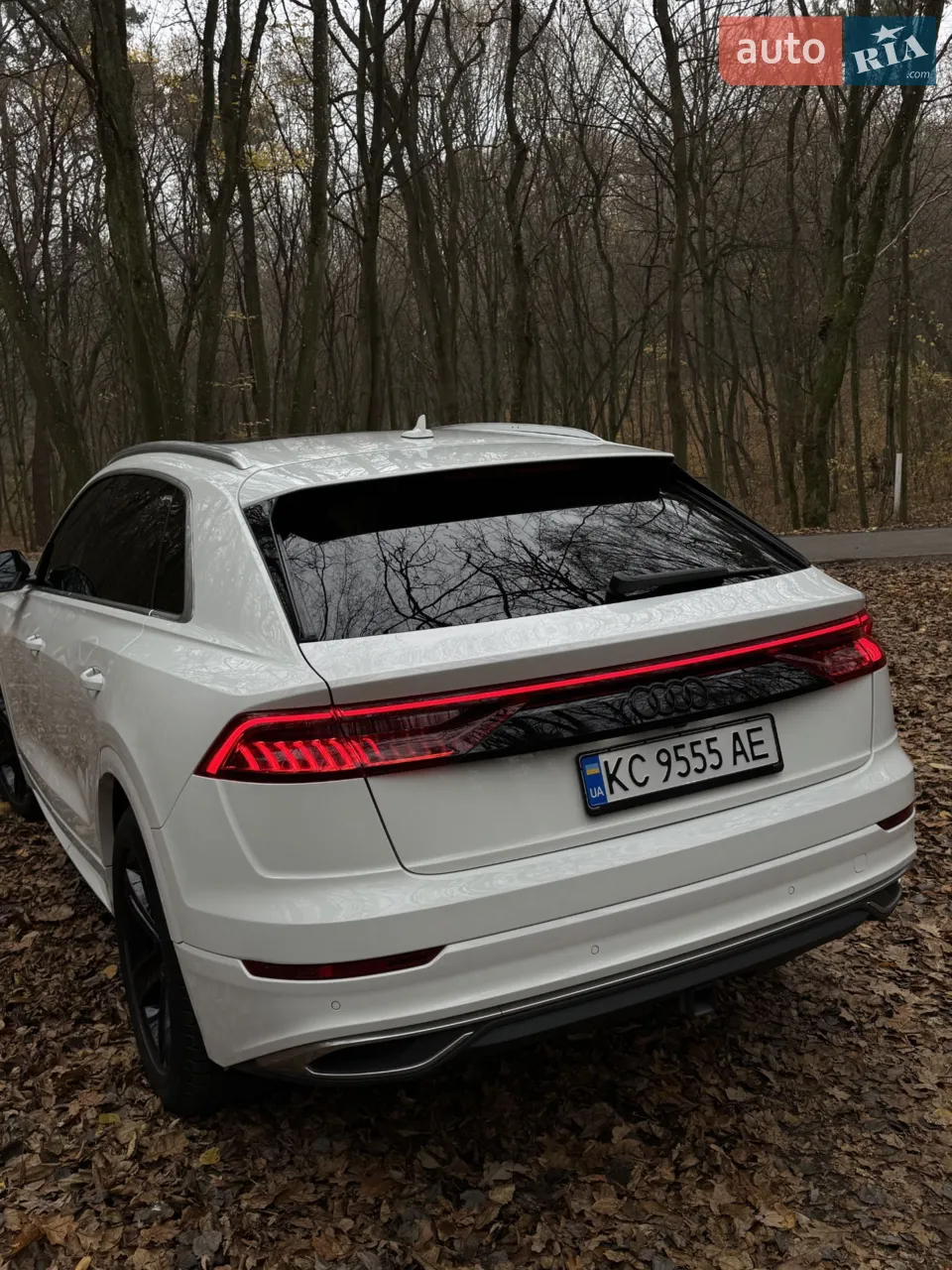 2018 Audi Q8 - мініатюра 4