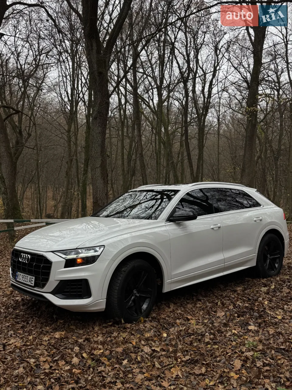 2018 Audi Q8 - мініатюра 2
