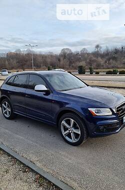 Audi SQ5  2013