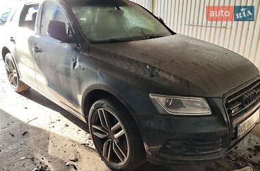 Audi SQ5  2015