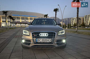 Audi SQ5  2013