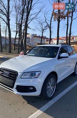 Audi SQ5  2015