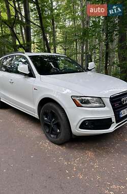 Audi SQ5 2015
