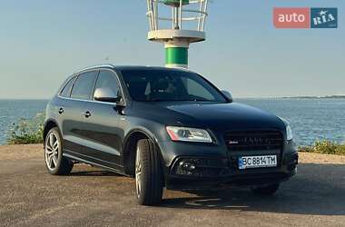 Audi SQ5  2013