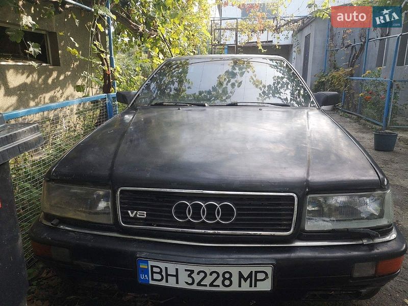 Audi V8