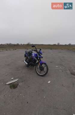 Цены Musstang MT 200 Region Бензин