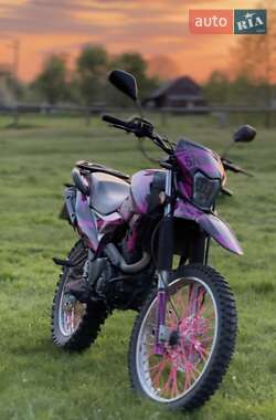 Цены Shineray XY 250GY-6C Light Бензин