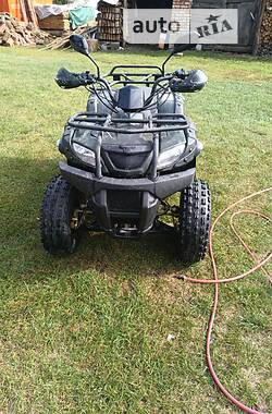 Цены Shineray XY 250GY-6C Бензин