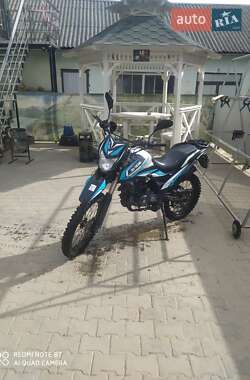 Цены Shineray XY 250GY-6C Бензин