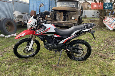 Цены Shineray XY250GY-6С Бензин