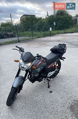 Цены Viper ZS 200A Бензин