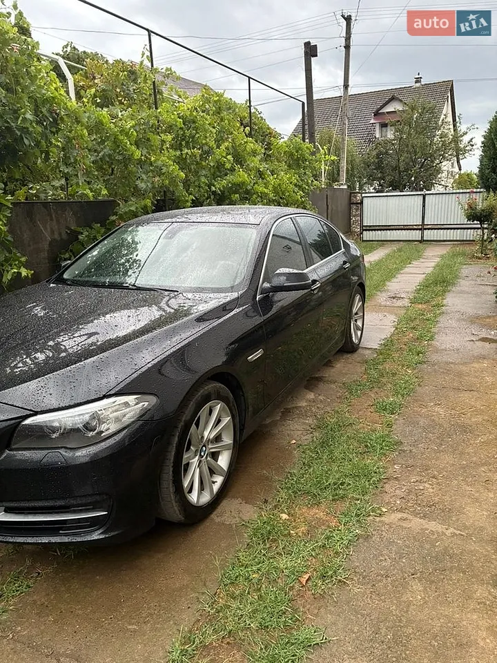 2014 BMW 5er - мініатюра 5