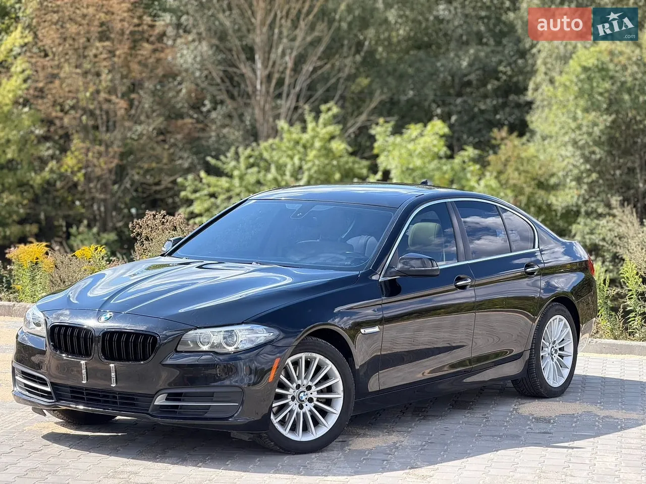 2014 BMW 5er - мініатюра 5