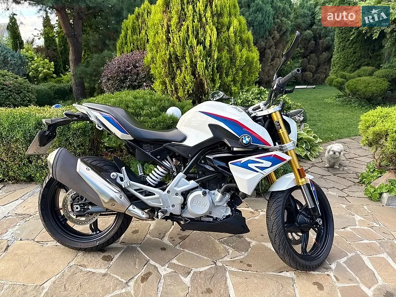 BMW G 310R 2019