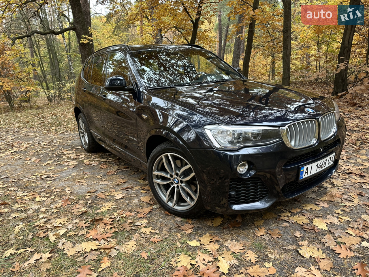 2016 BMW X3 - мініатюра 2