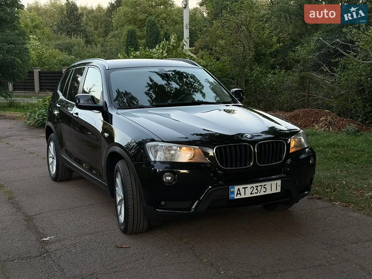 2011 BMW X3 - мініатюра 2