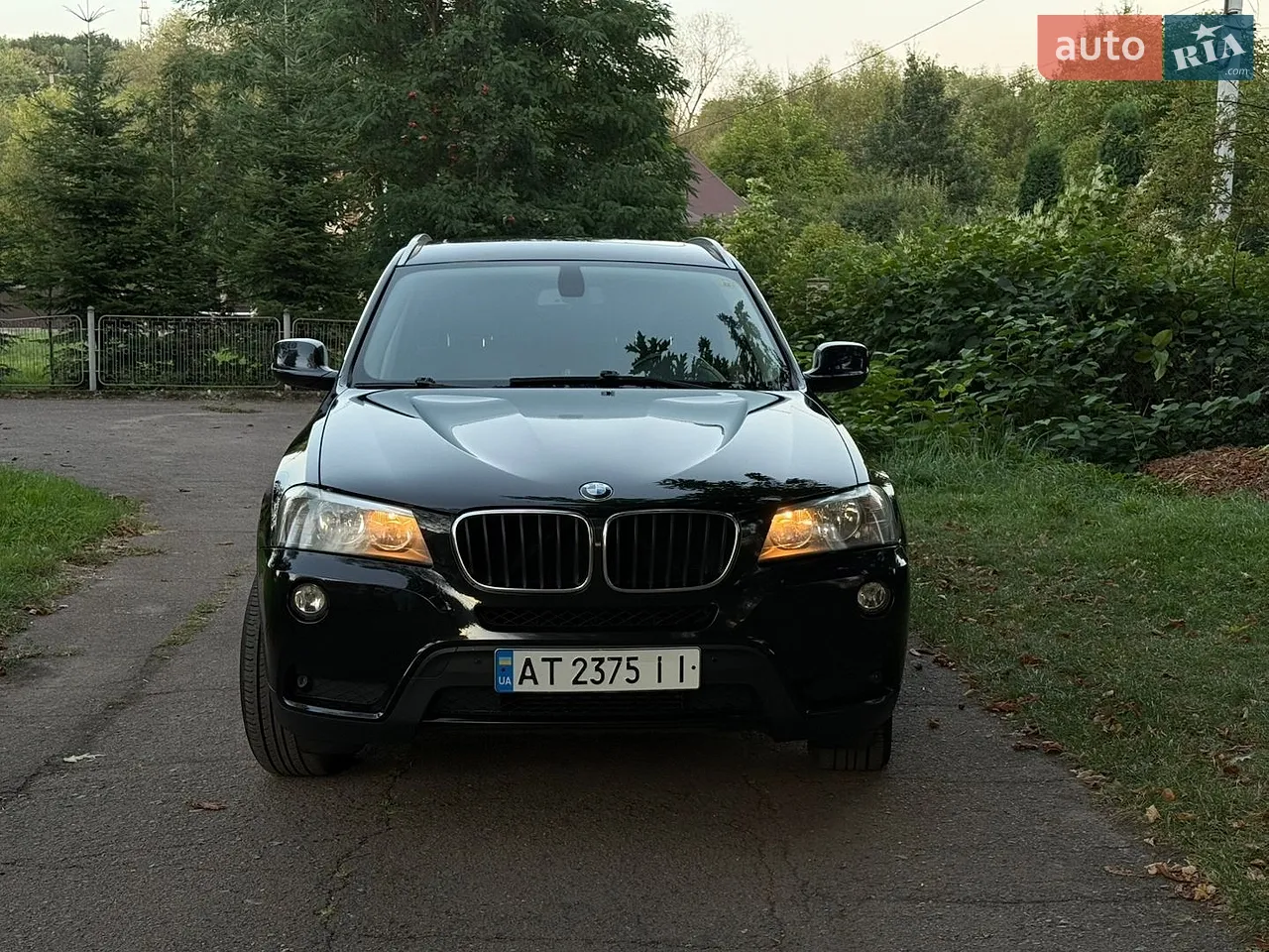 2011 BMW X3 - мініатюра 3