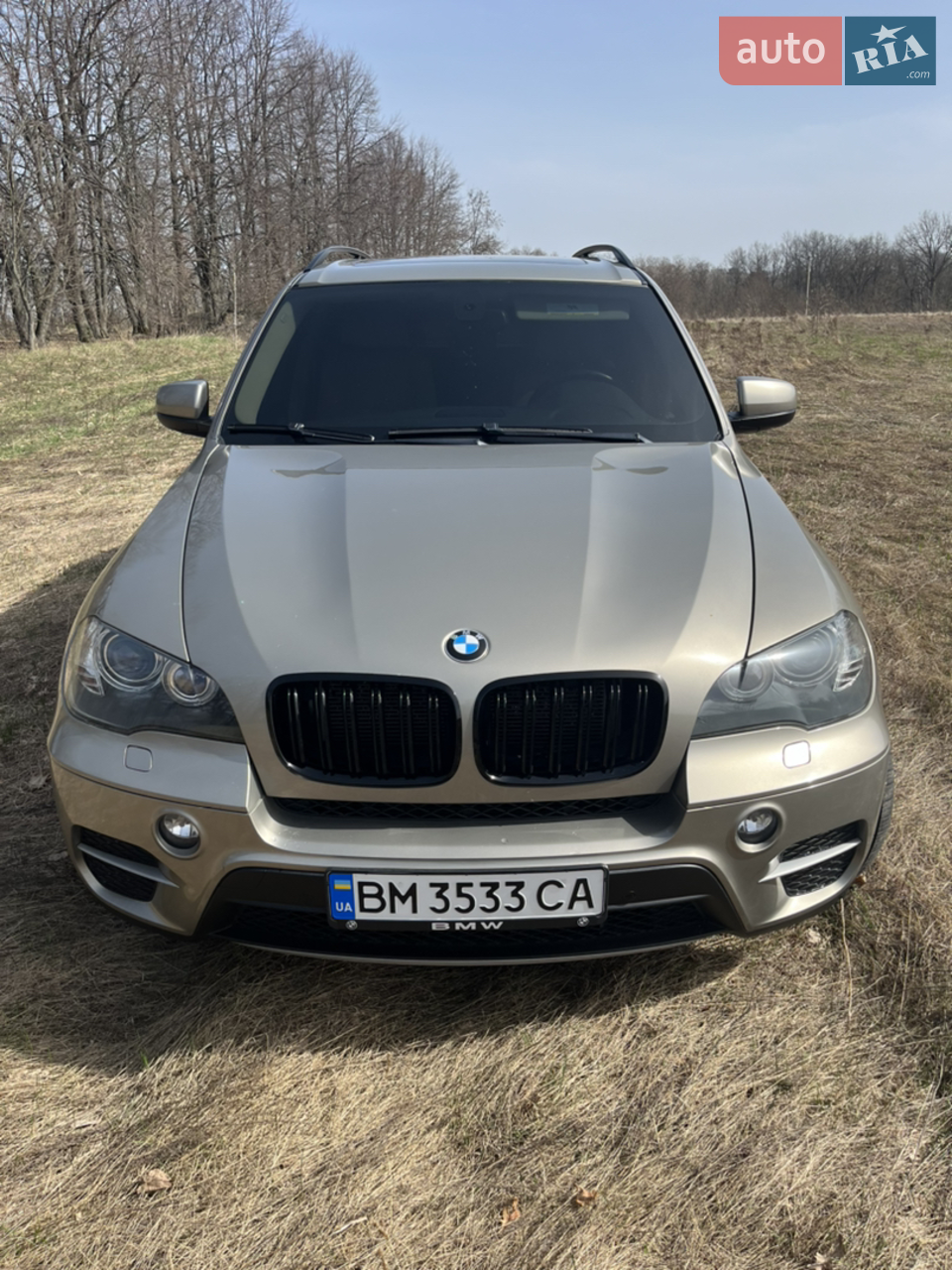 2010 BMW X5 - мініатюра 2