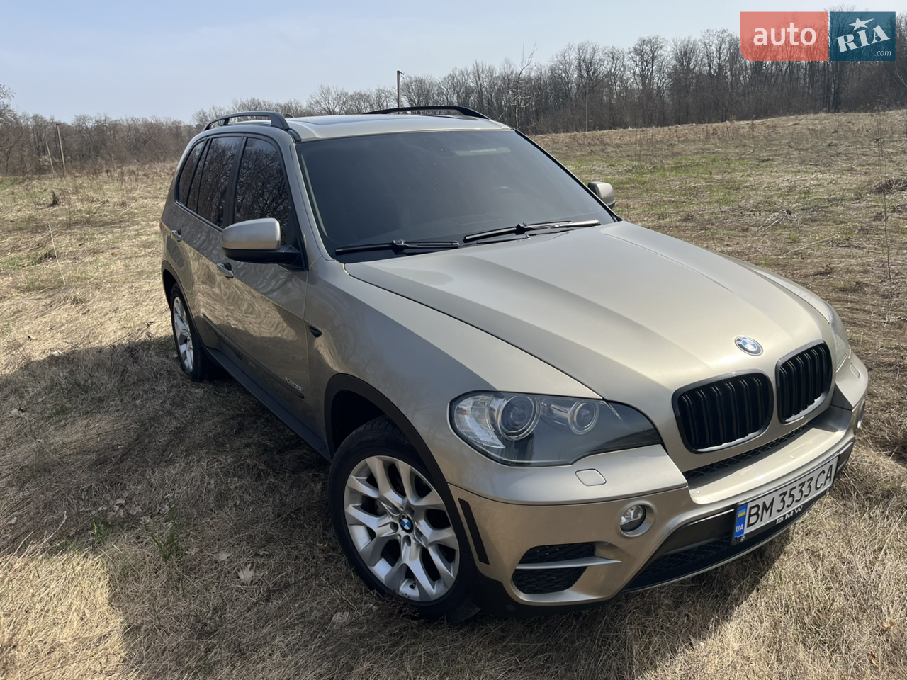 2010 BMW X5 - фото 1