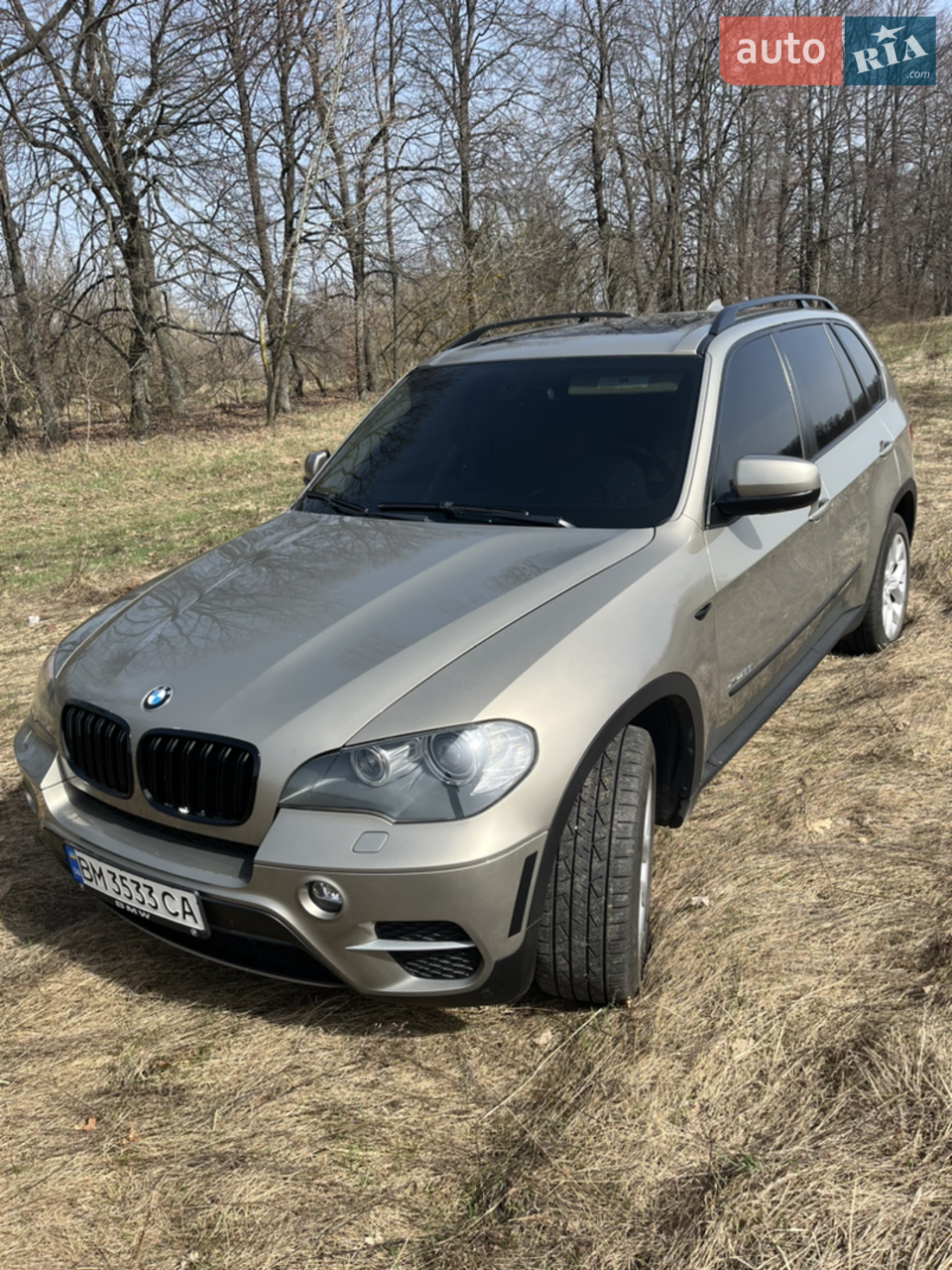 2010 BMW X5 - мініатюра 5