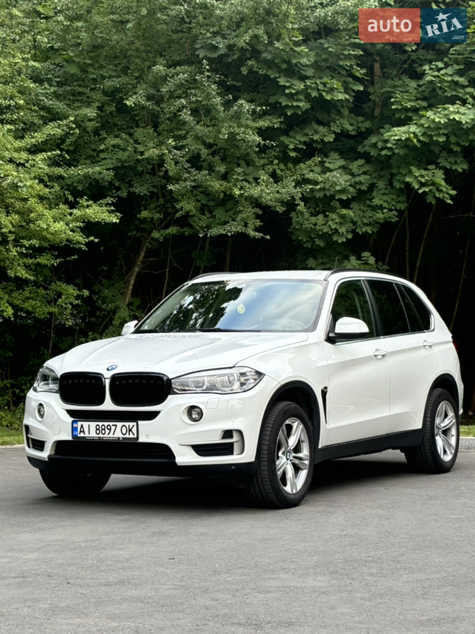 2017 BMW X5 - мініатюра 3