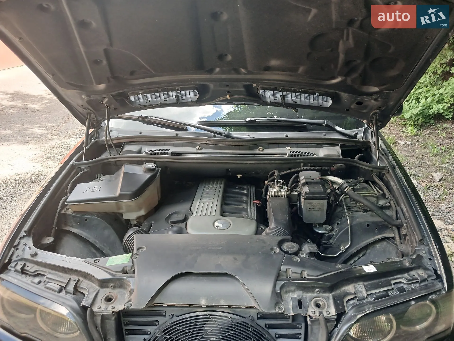 BMW X5 2003 VIN WBAFA71060LU92379 фото оголошення 36 з 39