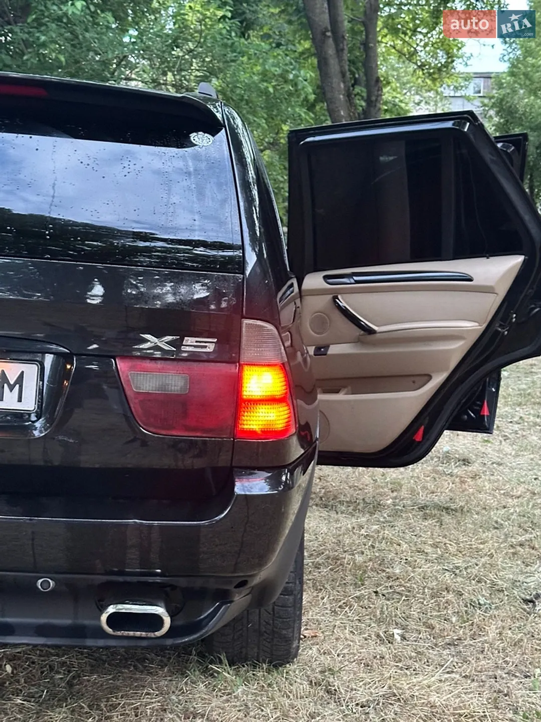 BMW X5 2002 VIN WBAFA71050LN28787 фото оголошення 18 з 18