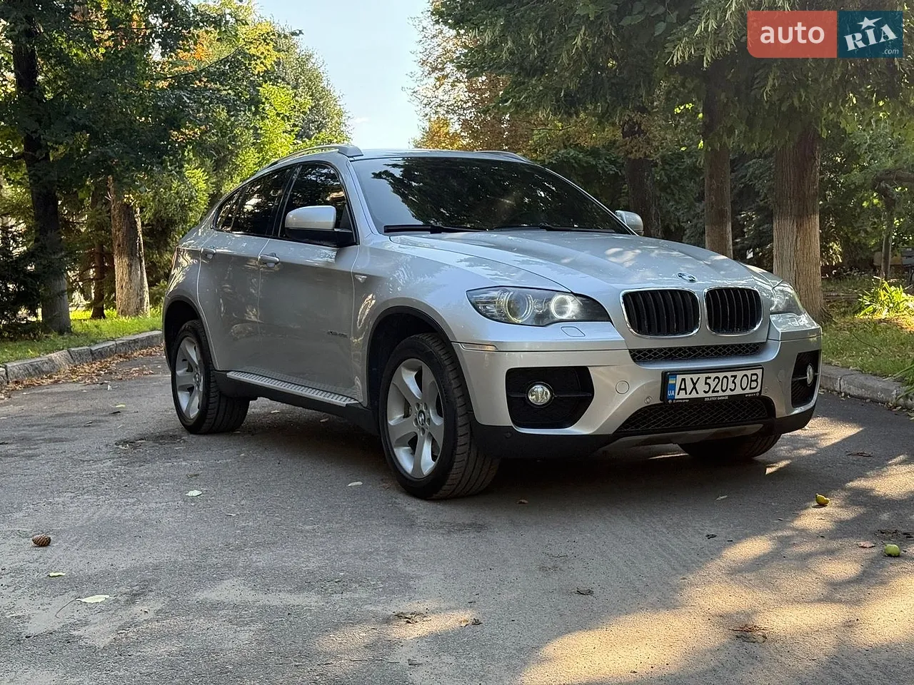 2010 BMW X6 - мініатюра 2