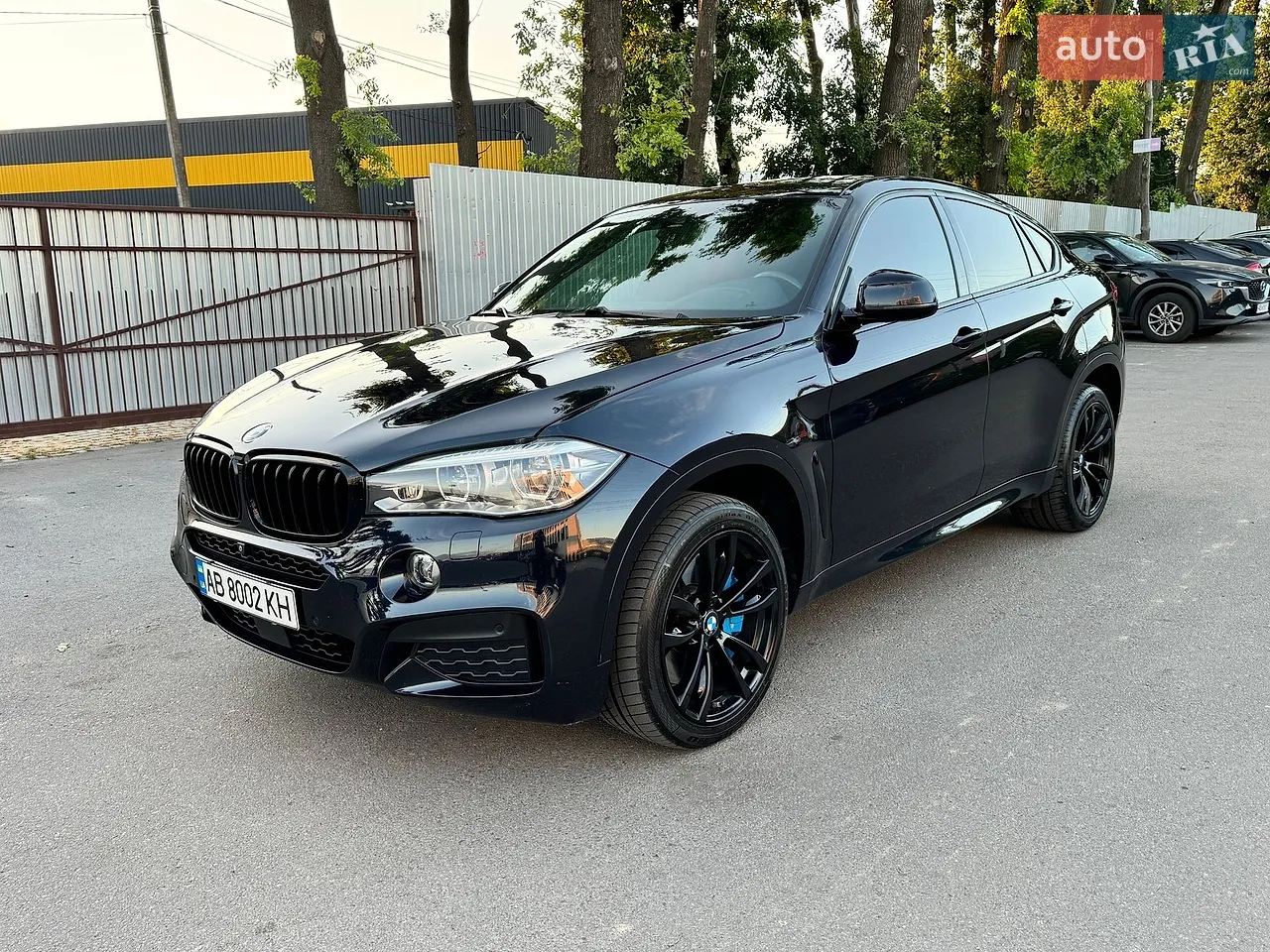 2016 BMW X6 - мініатюра 3