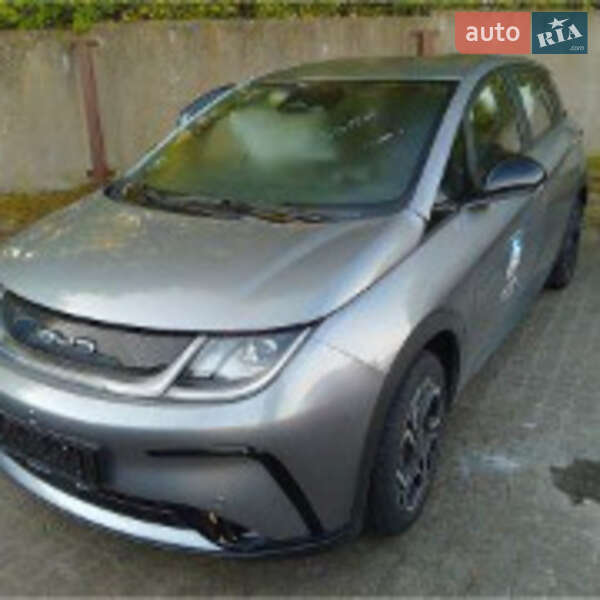 BYD Dolphin