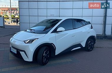 BYD Seagull  2024