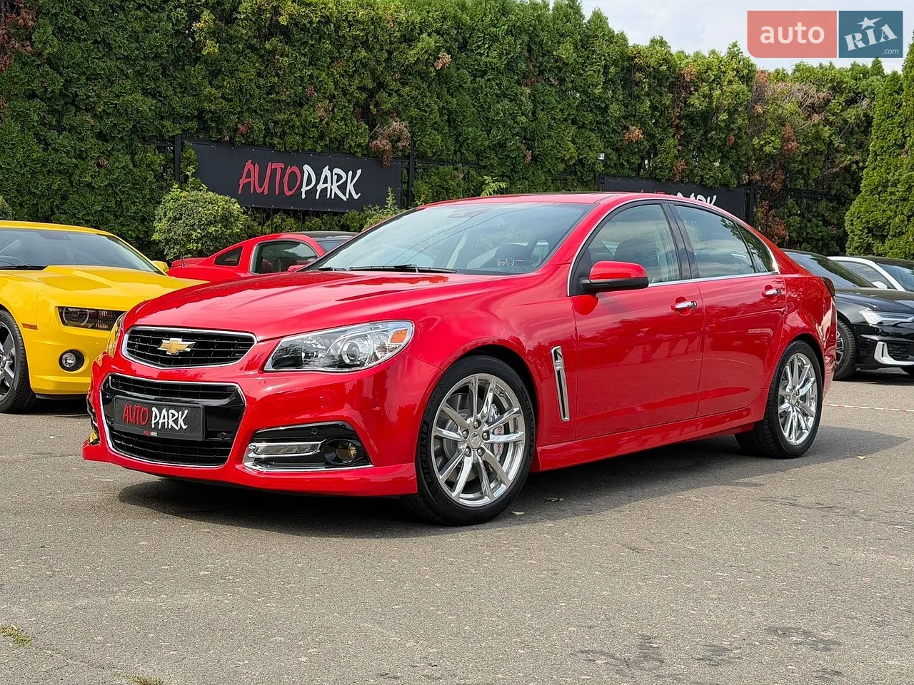 2013 Chevrolet SS - мініатюра 3