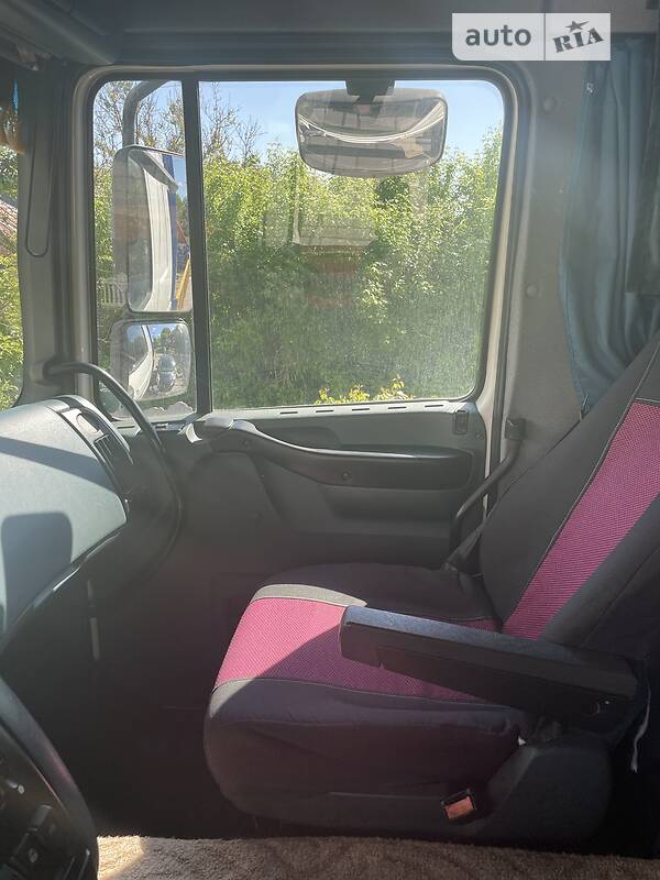 Кран-маніпулятор DAF 95 2006 в Києві