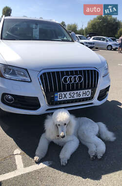 Цены Audi Q5 Дизель