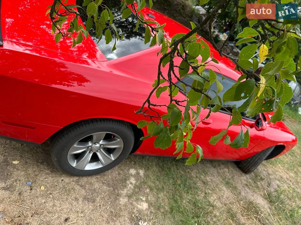2015 Dodge Challenger - мініатюра 4