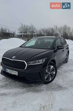 Цены Skoda Enyaq iV Электро