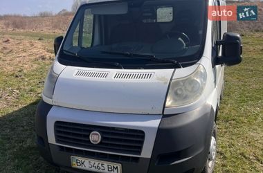 Fiat Ducato  2010
